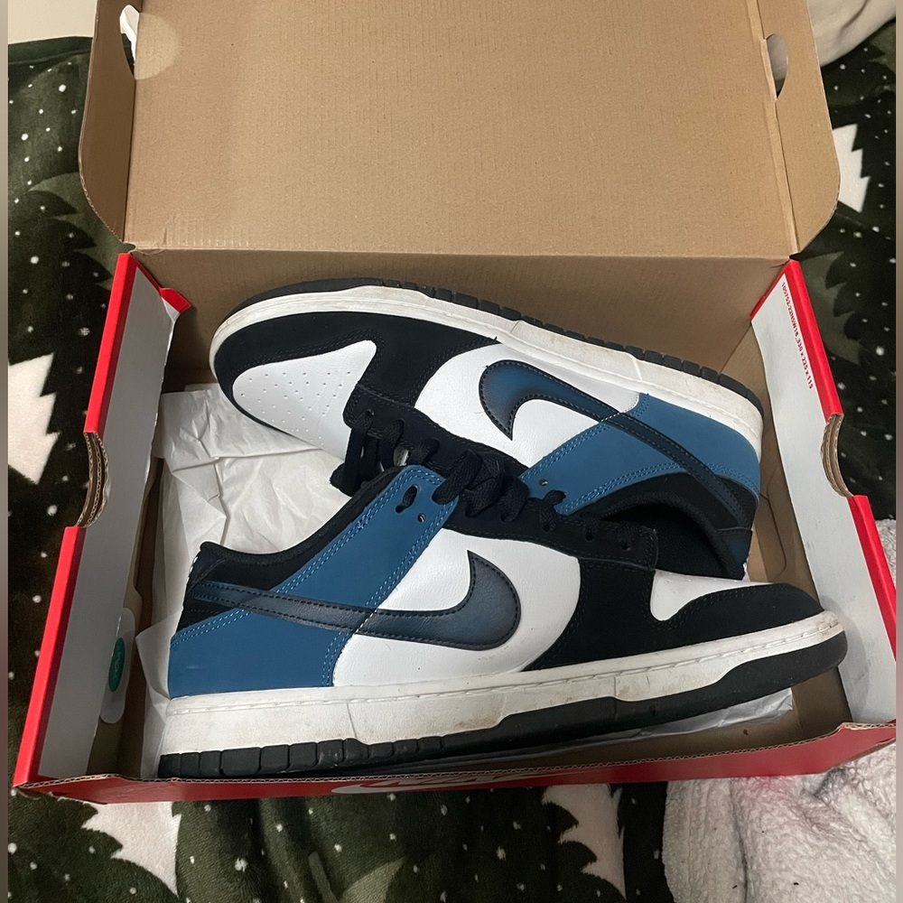 Nike Dunk Low Airbrush